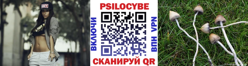Псилоцибиновые грибы Psilocybine cubensis  купить закладку  Яранск 